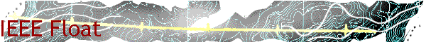 IEEE Float