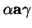 $\alpha {\bf a} \gamma$